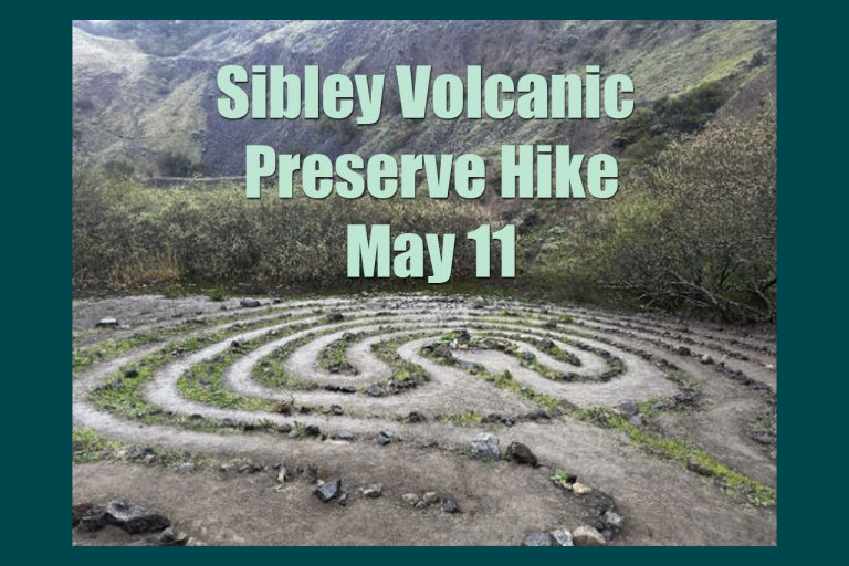 Sibley Volcanic Preserve Hike