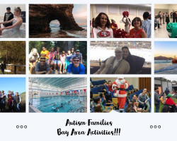 <strong>Autism Families Bay Area</strong>